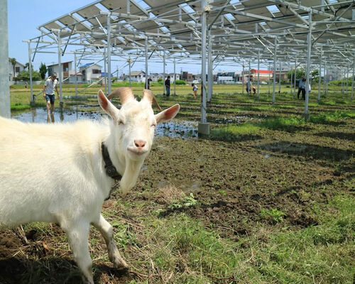 6A624D7E-F941-46B8-8175-A0CBBDCA2BC5