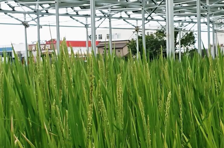 584048D3-C06D-4FFD-AF55-2D539BBD8585