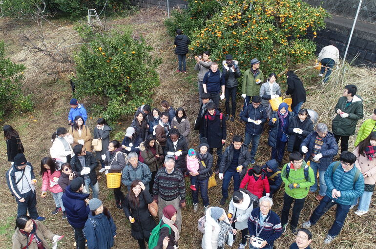 DJI_0037