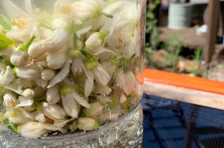 1620191370843.