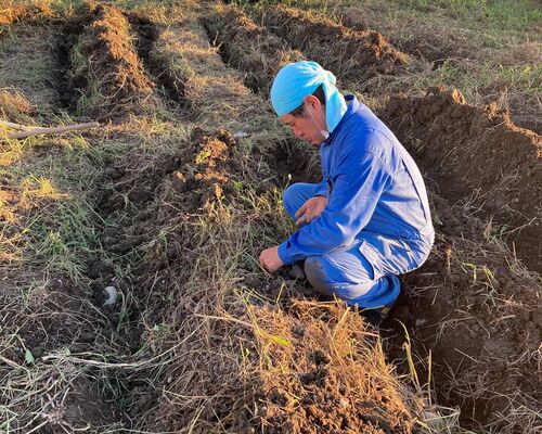 received_579484990162565