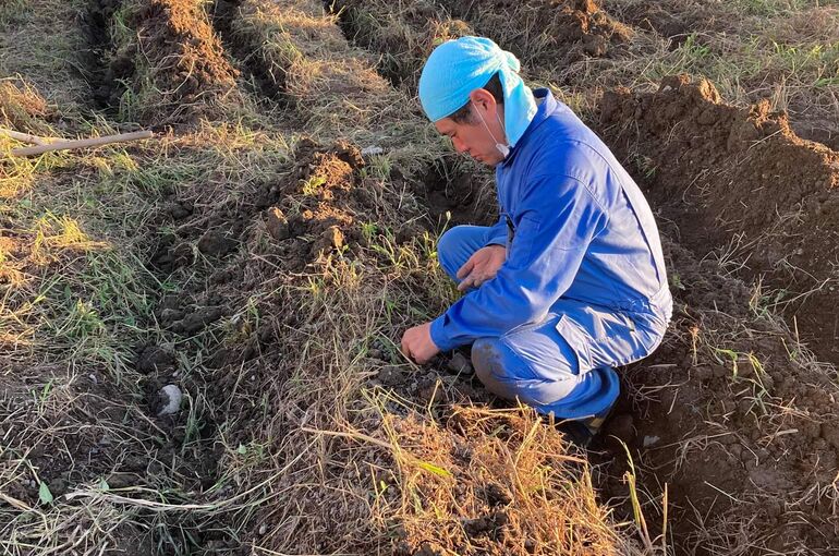 received_579484990162565