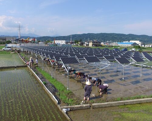 小田原の行政書士　小山田大和行政書士事務所